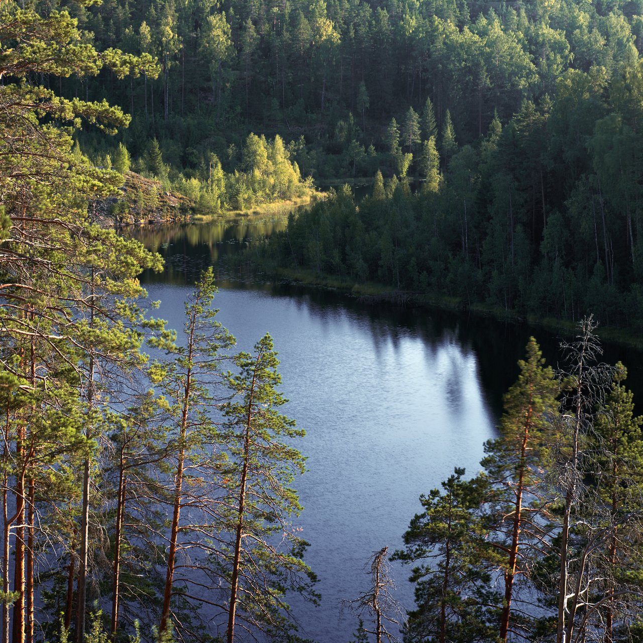 Озеро Треугольное · Russia, Karelia · 2011