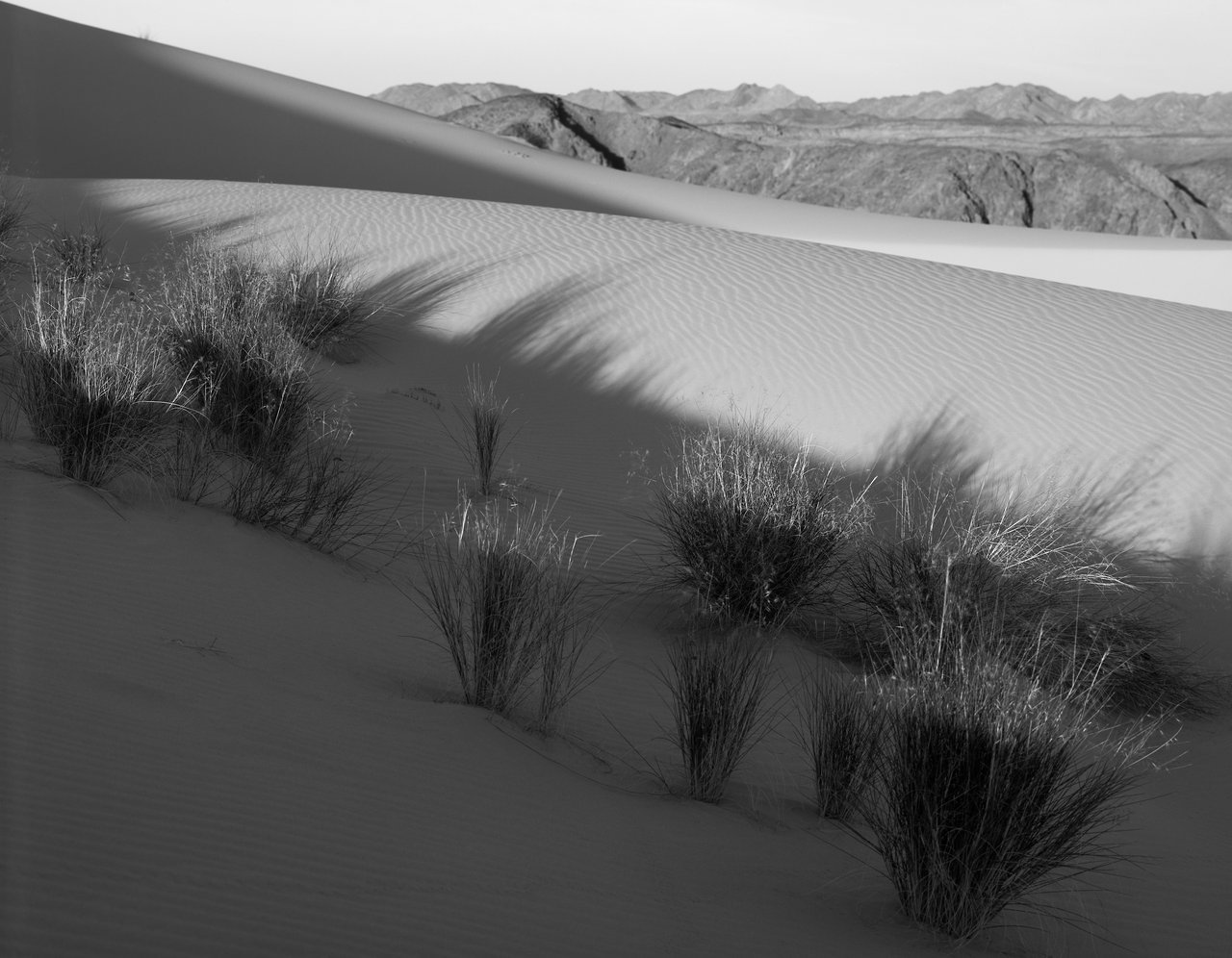 Egypt · 2009